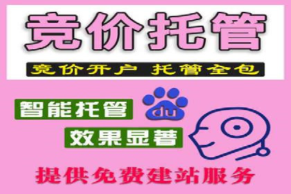 SEM竞价代运营公司实战案例分析